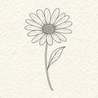 Made to Bloom