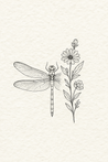 Dragonfly & Chamomile