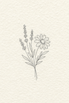 Lavender & Daisy