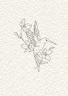 Hummingbird 3