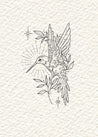 Hummingbird 7