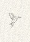 Hummingbird 8